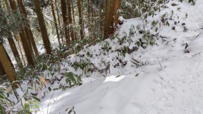 冬の金剛山の遊歩道