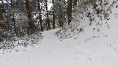 冬の金剛山の遊歩道