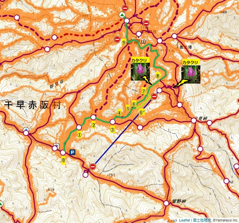 金剛山のカタクリ尾根ルート地図