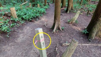 金剛山登山ルート（文殊中尾根ルート）