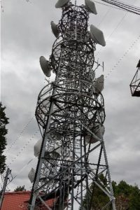 金剛山の三角点