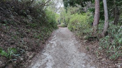 大阪で一番高い山は　金剛山　大阪府最高地点