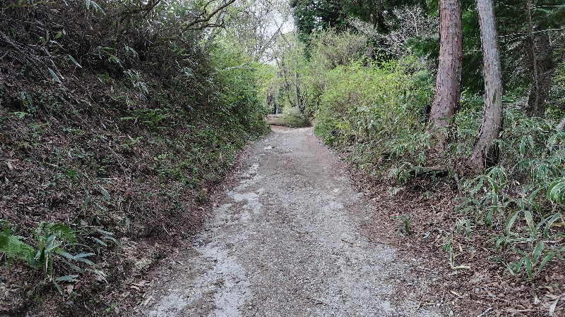 大阪で一番高い山は　金剛山　大阪府最高地点