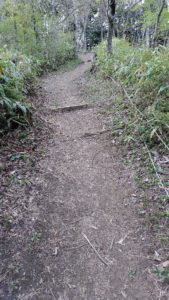 大阪で一番高い山は　金剛山　大阪府最高地点