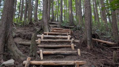 金剛山登山ルート（文殊中尾根ルート）