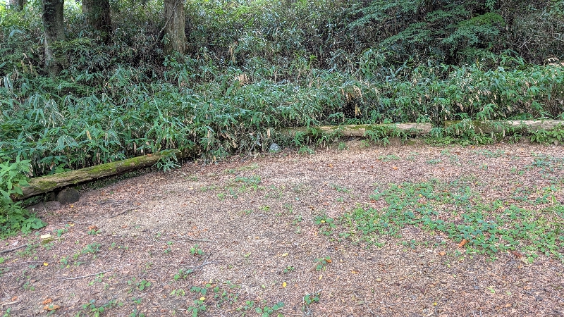 金剛山で料理できる場所(国見広場上)