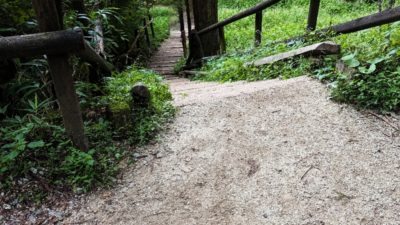 金剛山　下山ルート　千早本道