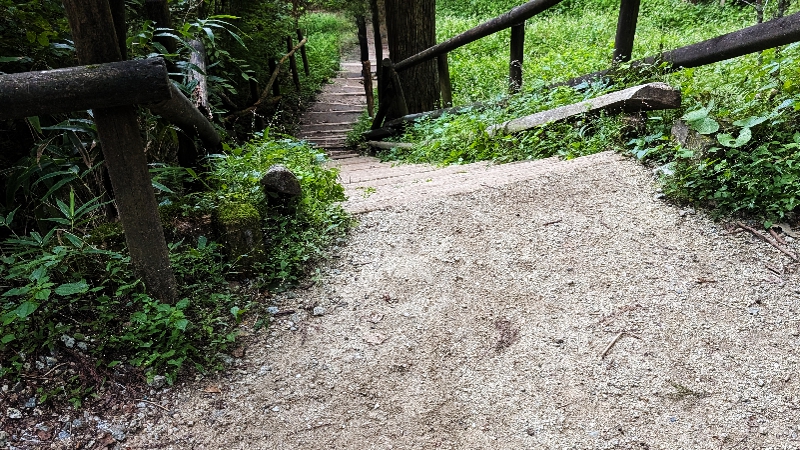 金剛山　下山ルート　千早本道