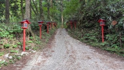 金剛山　下山ルート　伏見峠