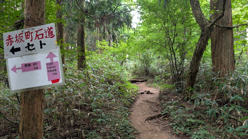 金剛山　下山ルート　六道の辻