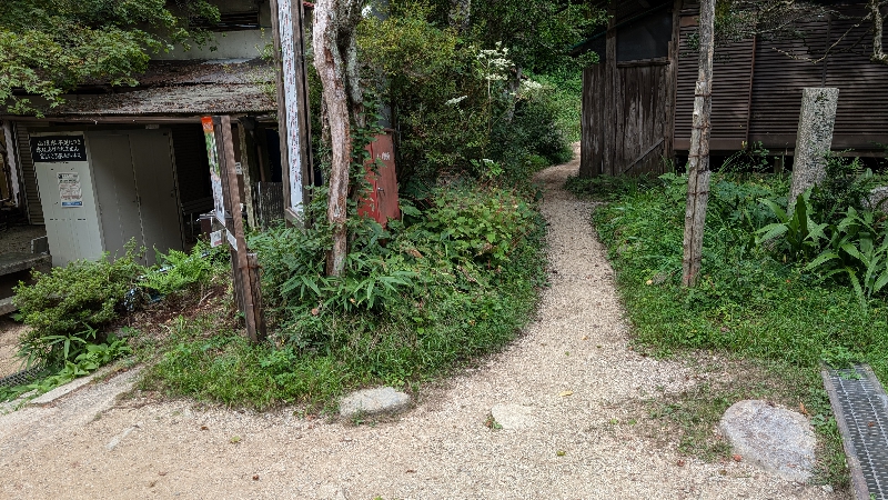 金剛山　下山ルート