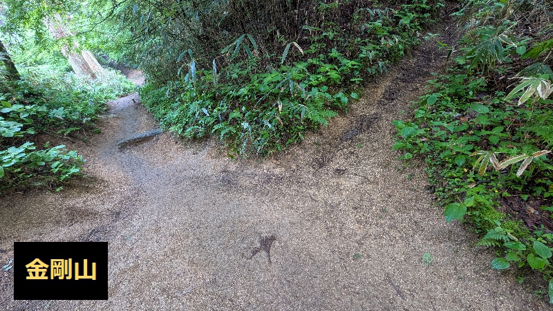 金剛山　下山ルートまちがいに注意