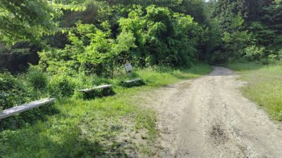 金剛山登山ルート（ダイアモンドトレール）