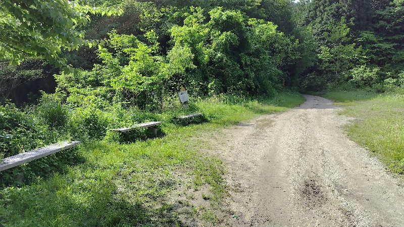 金剛山登山ルート（ダイアモンドトレール）
