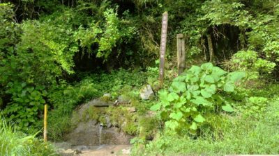 金剛山登山ルート（ダイアモンドトレール）