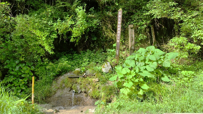 金剛山登山ルート（ダイアモンドトレール）