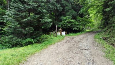 金剛山登山ルート（ダイアモンドトレール）