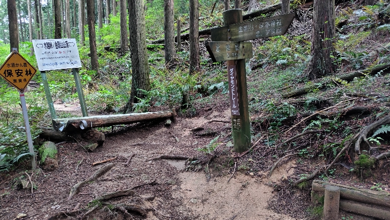 金剛山登山ルート（ダイアモンドトレール）