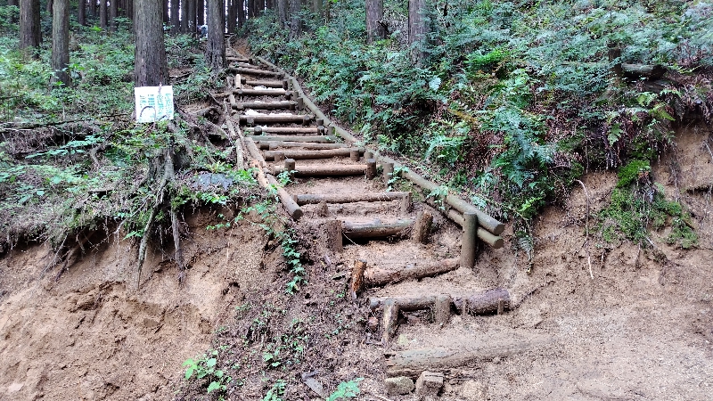 金剛山登山ルート（ダイアモンドトレール）