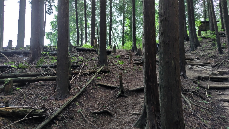 金剛山登山ルート（ダイアモンドトレール）