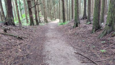 金剛山登山ルート（ダイアモンドトレール）