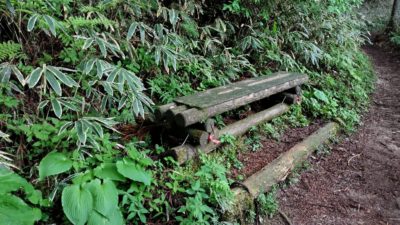 金剛山登山ルート（ダイアモンドトレール）