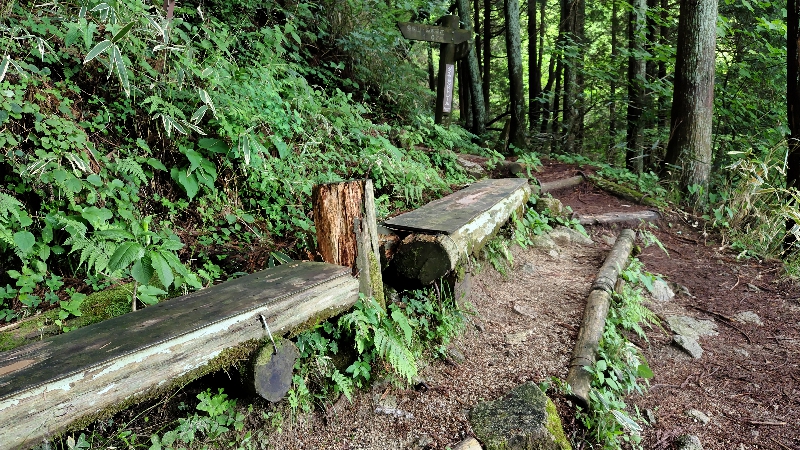 金剛山登山ルート（ダイアモンドトレール）