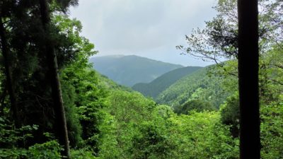 金剛山登山ルート（ダイアモンドトレール）