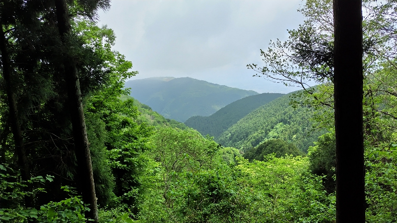 金剛山登山ルート（ダイアモンドトレール）