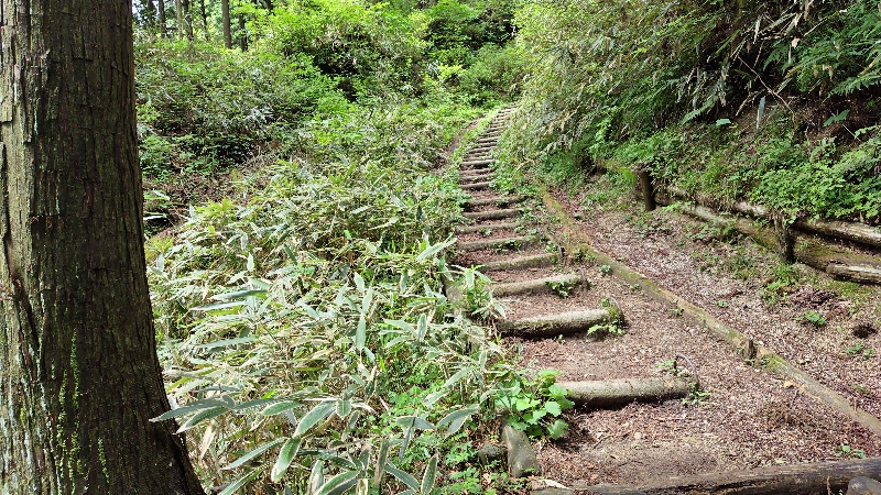 金剛山登山ルート（ダイアモンドトレール）