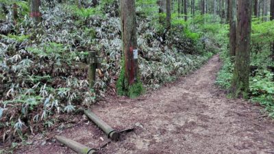 金剛山登山ルート（ダイアモンドトレール）