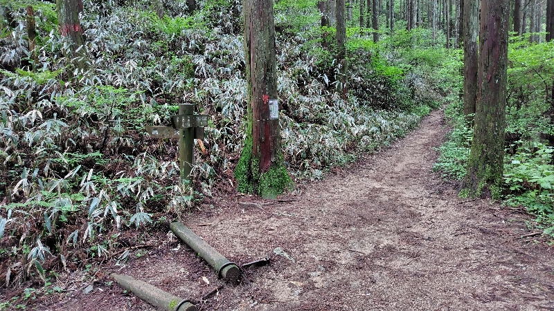 金剛山登山ルート（ダイアモンドトレール）