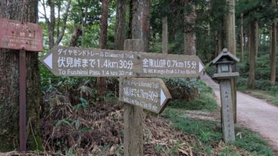 金剛山　下山ルート