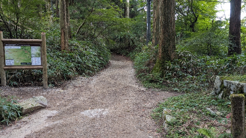 金剛山　下山ルート　伏見峠