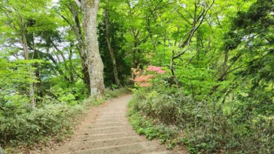 初めての金剛山　花の季節