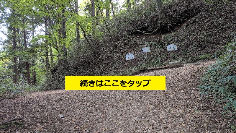金剛山登山ルート(寺谷ルート)
