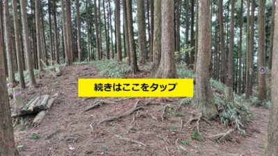 金剛山登山ルート（文殊東尾根ルート）