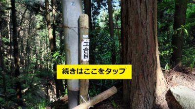 金剛山登山ルート（千早城）