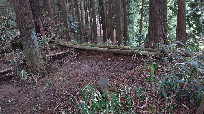 金剛山登山ルート(香南荘尾根ルート)