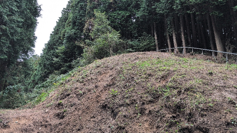 金剛山登山ルート(香南荘尾根ルート)