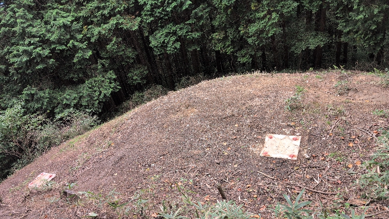 金剛山登山ルート(香南荘尾根ルート)