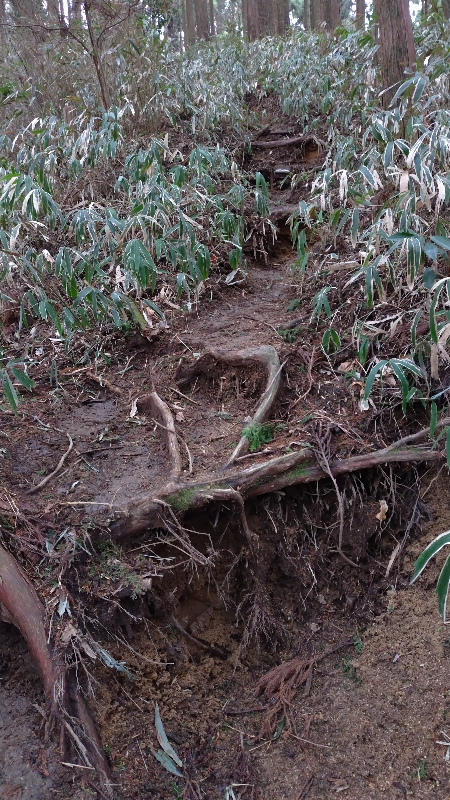 金剛山登山ルート(香南荘尾根ルート)