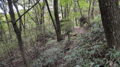 金剛山登山ルート（香南荘尾根ルート）