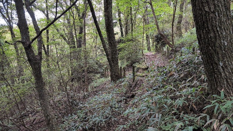 金剛山登山ルート(香南荘尾根ルート)