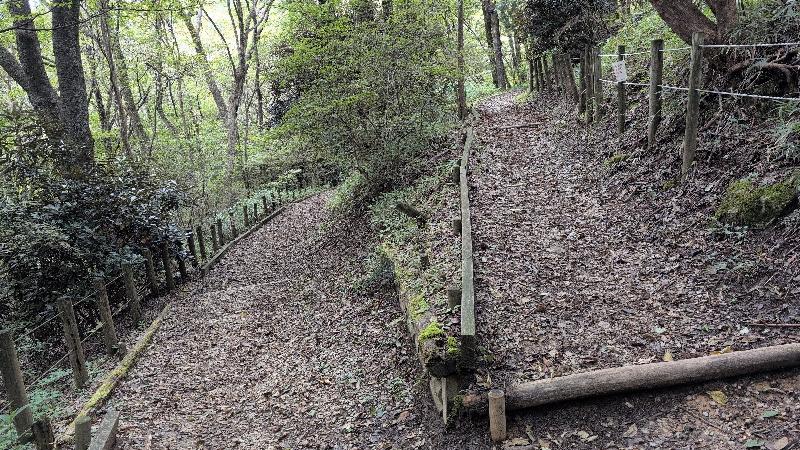 金剛山登山ルート(遊歩道)