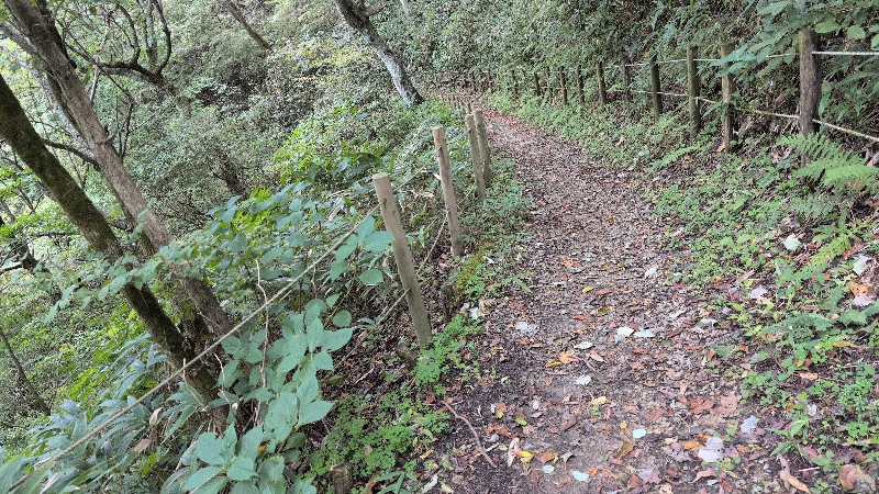 金剛山登山ルート(遊歩道)