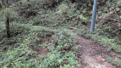 金剛山登山ルート（遊歩道）