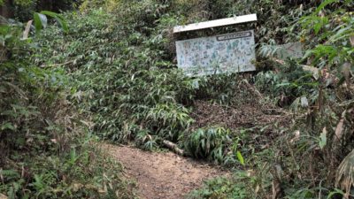 金剛山登山ルート（遊歩道）