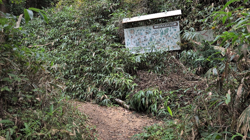 金剛山登山ルート(遊歩道)