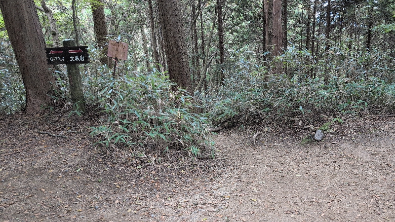 金剛山登山ルート(遊歩道)